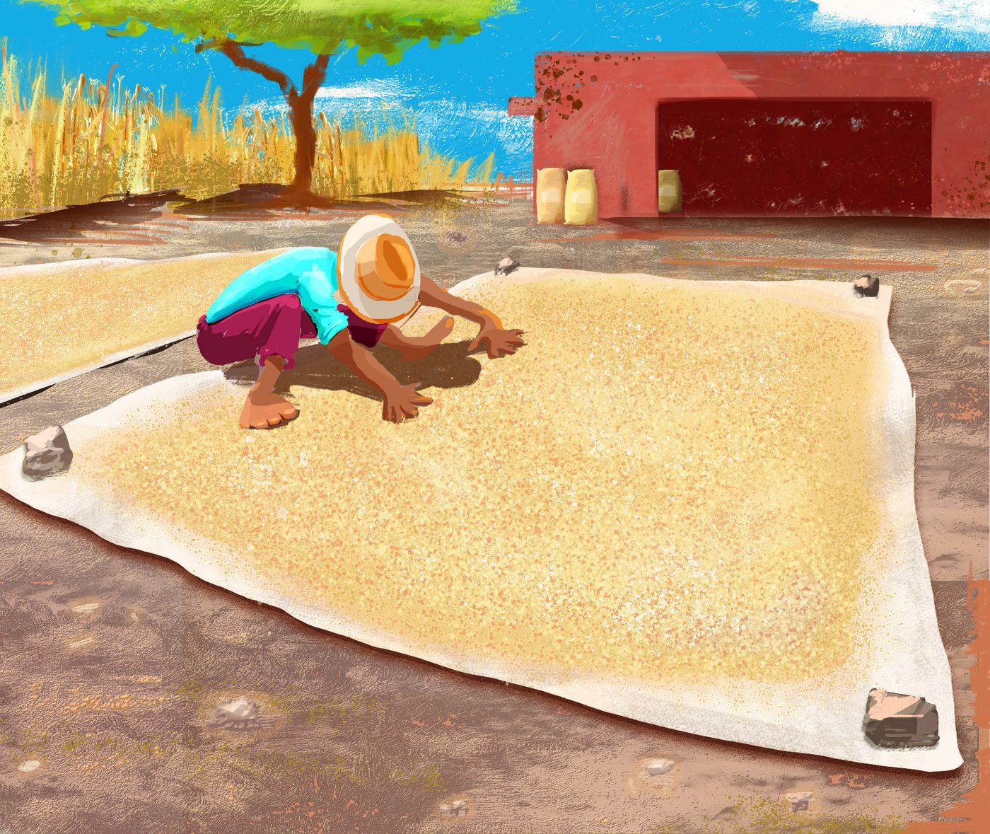 Drying process illustration